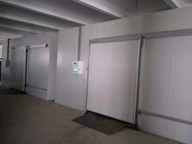 ห้องเก็บอาหารเย็นที่กําหนดเอง สําหรับปลาและเนื้อที่แข็งด้วยระบบควบคุมอัตโนมัติ