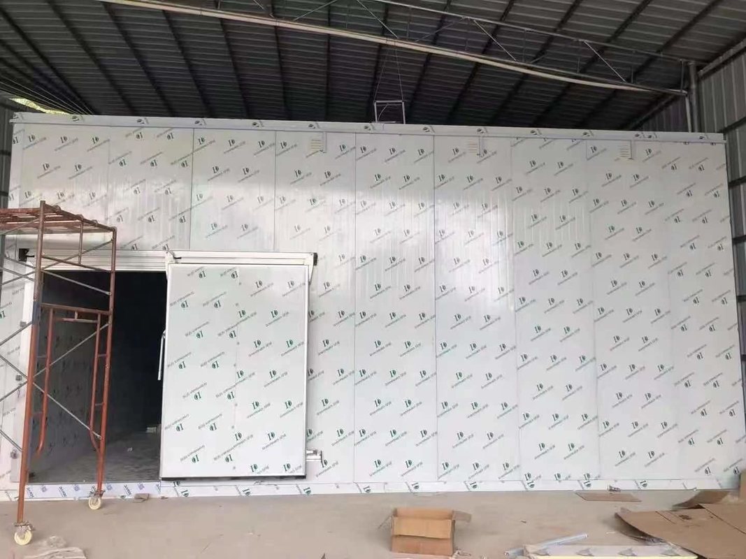 พานีลพียู ห้องเก็บเย็น Walk-In Freezer ห้องเย็นแบบจําลองที่มีอุณหภูมิที่แตกต่างกัน