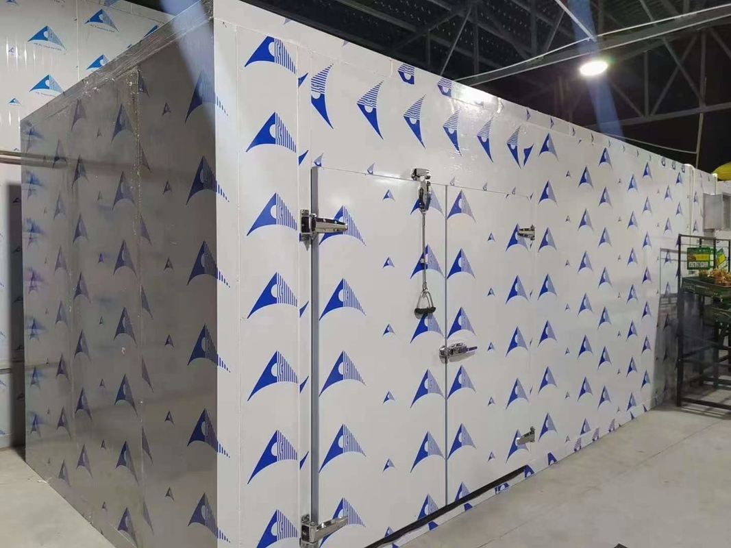 พานีลพียู ห้องเก็บเย็น Walk-In Freezer ห้องเย็นแบบจําลองที่มีอุณหภูมิที่แตกต่างกัน