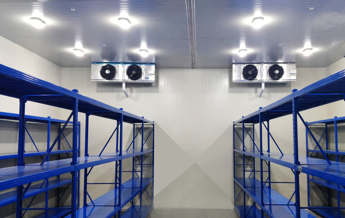 พานีลพียู ห้องเก็บเย็น Walk-In Freezer ห้องเย็นแบบจําลองที่มีอุณหภูมิที่แตกต่างกัน