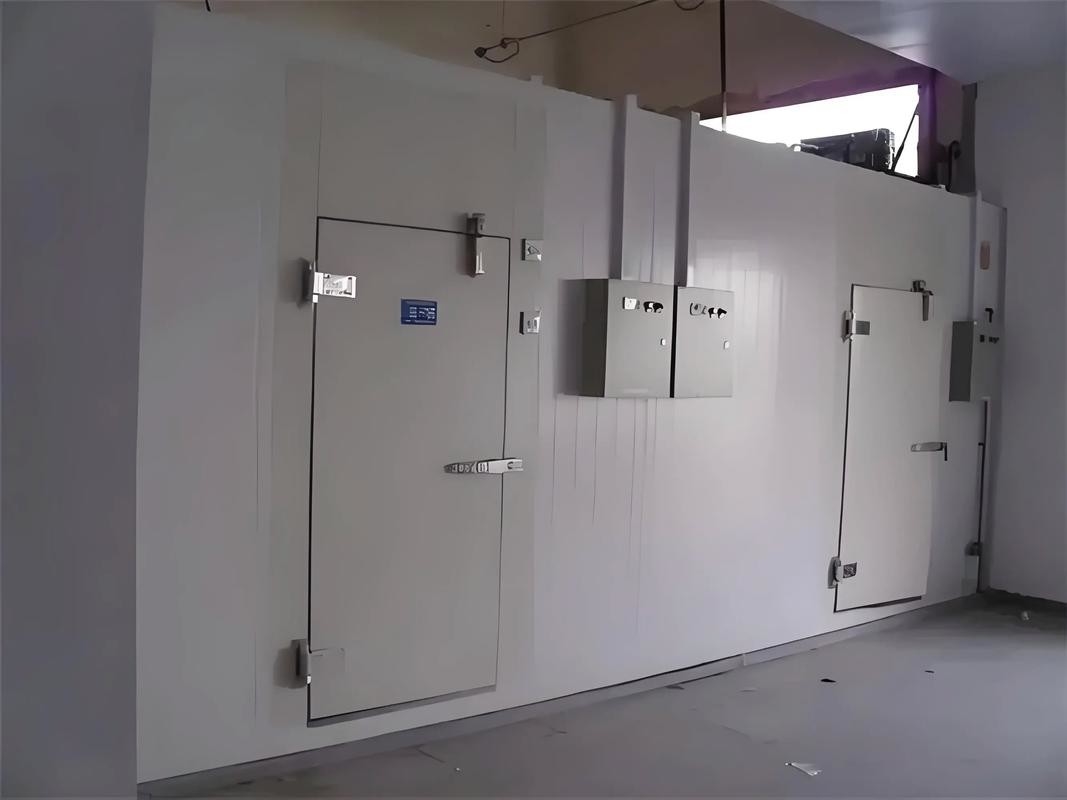 ห้องเก็บของจํานวนมาก ห้องเก็บของเย็น ห้องเก็บของเย็น Walk-In ห้องเก็บของเย็นที่มีระบบเย็นห้องเย็น