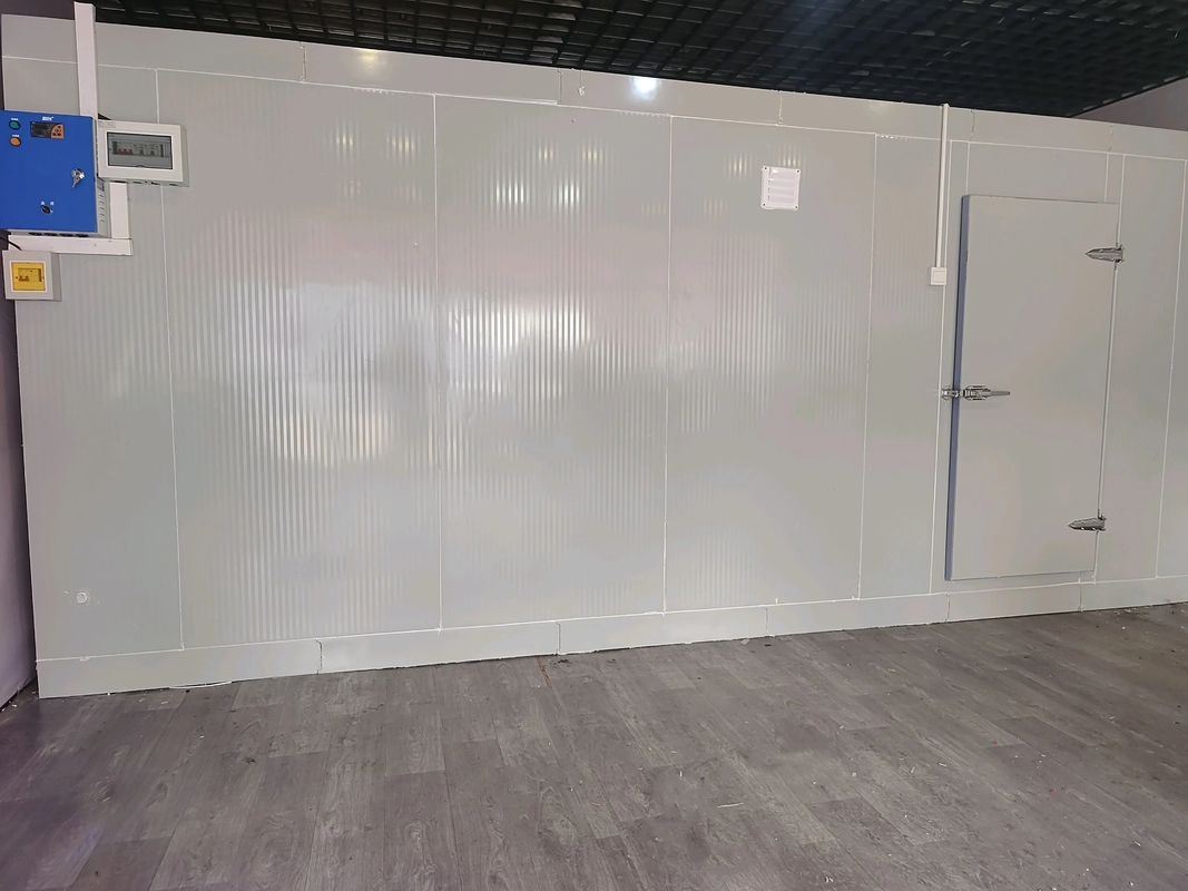 ห้องเก็บของจํานวนมาก ห้องเก็บของเย็น ห้องเก็บของเย็น Walk-In ห้องเก็บของเย็นที่มีระบบเย็นห้องเย็น