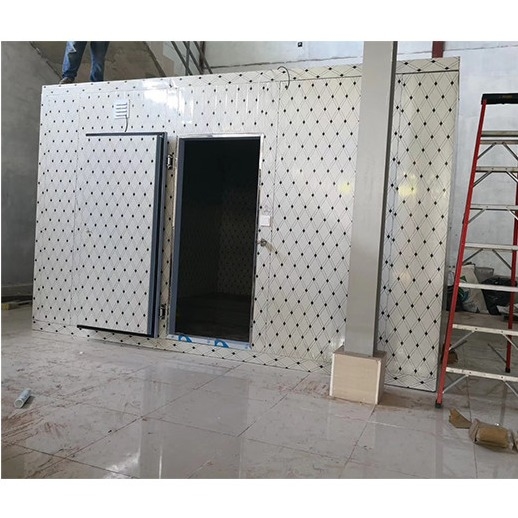 พานีลพียู ห้องเก็บเย็น Walk-In Freezer ห้องเย็นแบบจําลองที่มีอุณหภูมิที่แตกต่างกัน