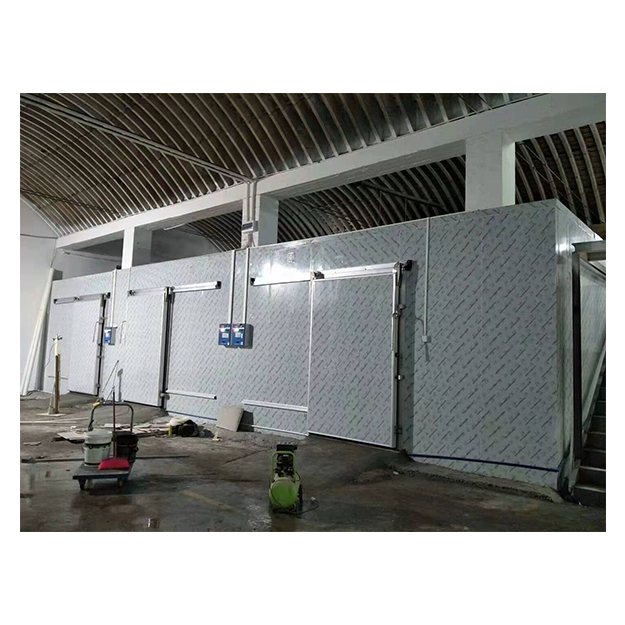 ห้องเย็นสำหรับจัดเก็บผัก/ผลไม้แช่แข็งและแช่เย็นในซุปเปอร์มาร์เก็ตขนาดใหญ่