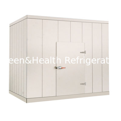 เดินเชิงพาณิชย์ 220V / 380V ในห้องเย็นสำหรับผักเนื้อสัตว์อาหารทะเล